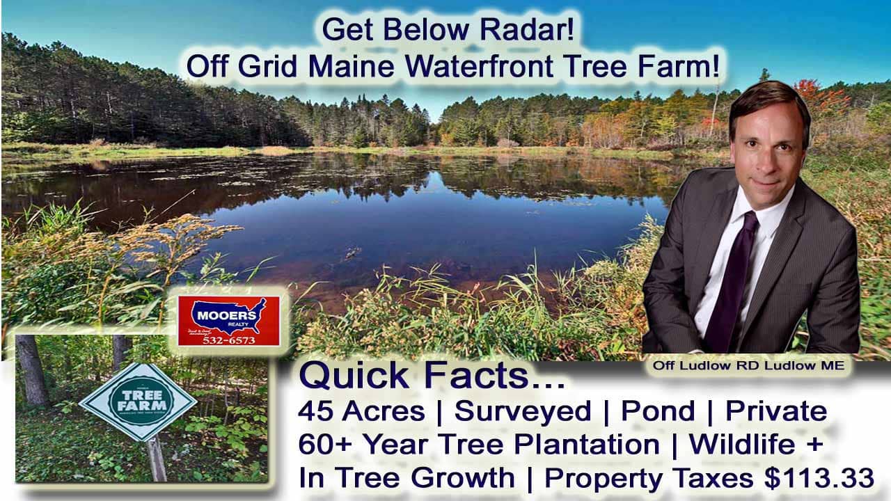 For Sale Farm Land, Lot 5.1 Off Ludlow Road, Ludlow, Maine, Tree Plantation